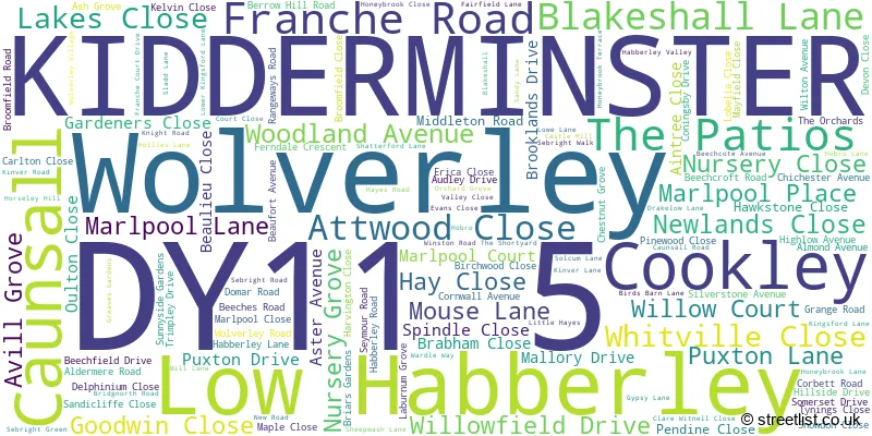 A word cloud for the DY11 5 postcode